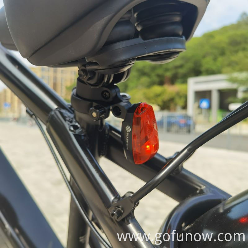 750W Lithium Battery 48V Electric Bicycle 26 inch Fat Tyre Beach Snow Electric Bike E-Bike